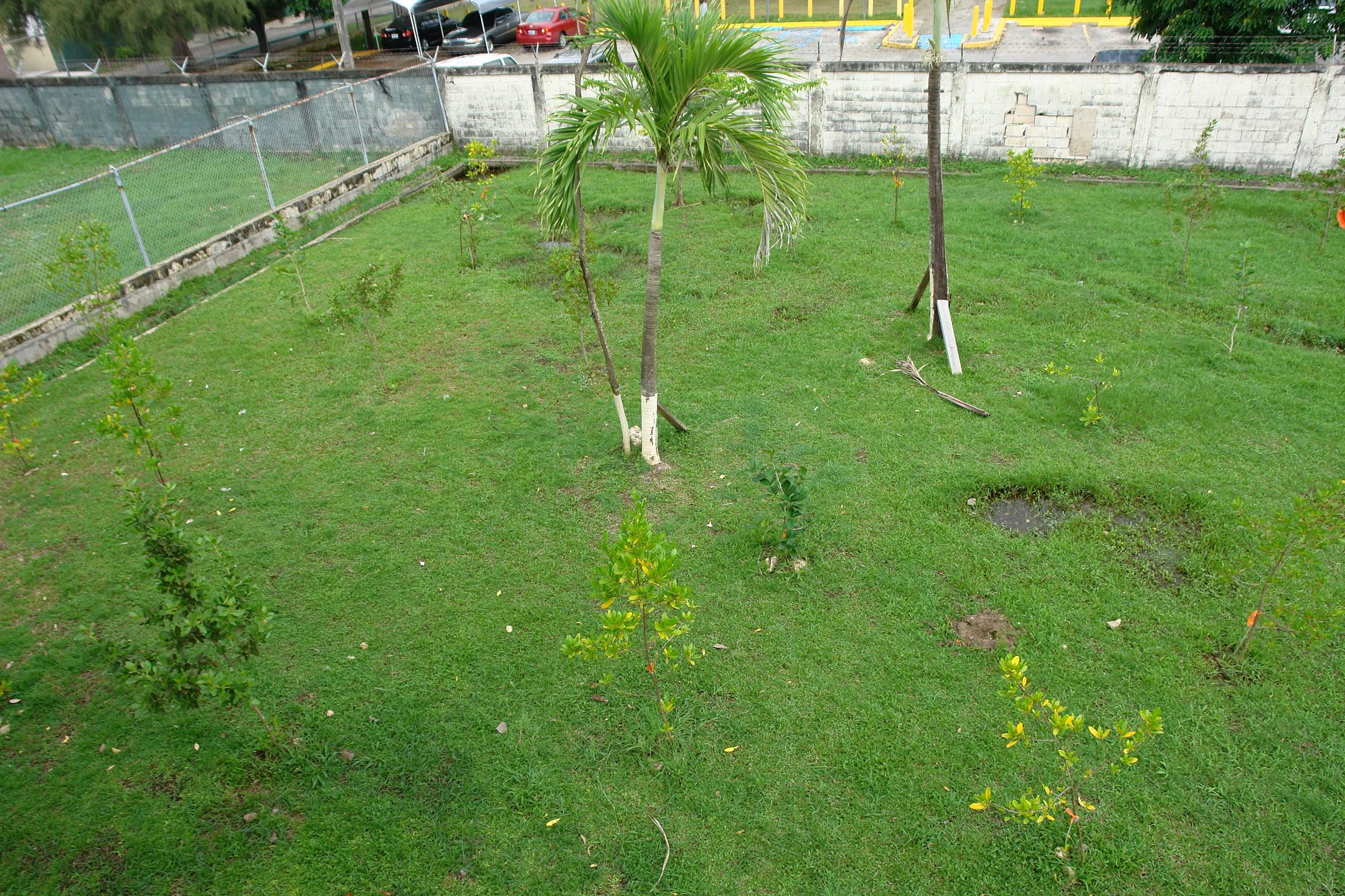 RC - Cataño - 201000051